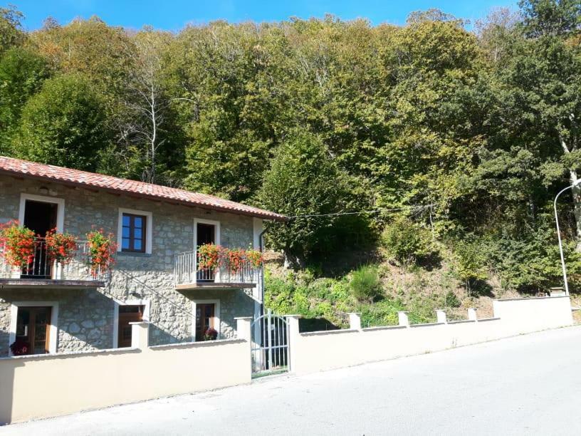 Affittacamere Da Morena Gorfigliano Экстерьер фото